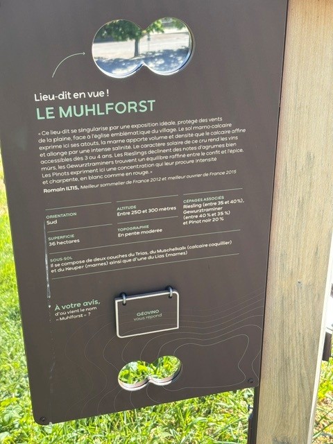 Besøg i Selestat - 6