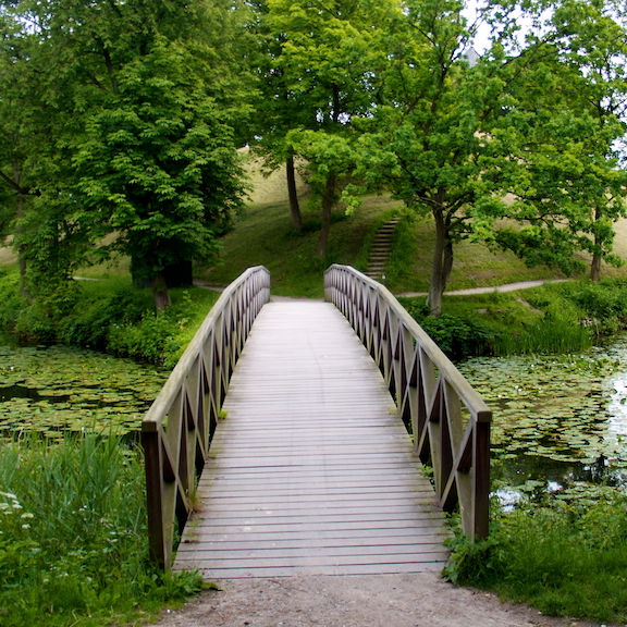 Naturbro på volden