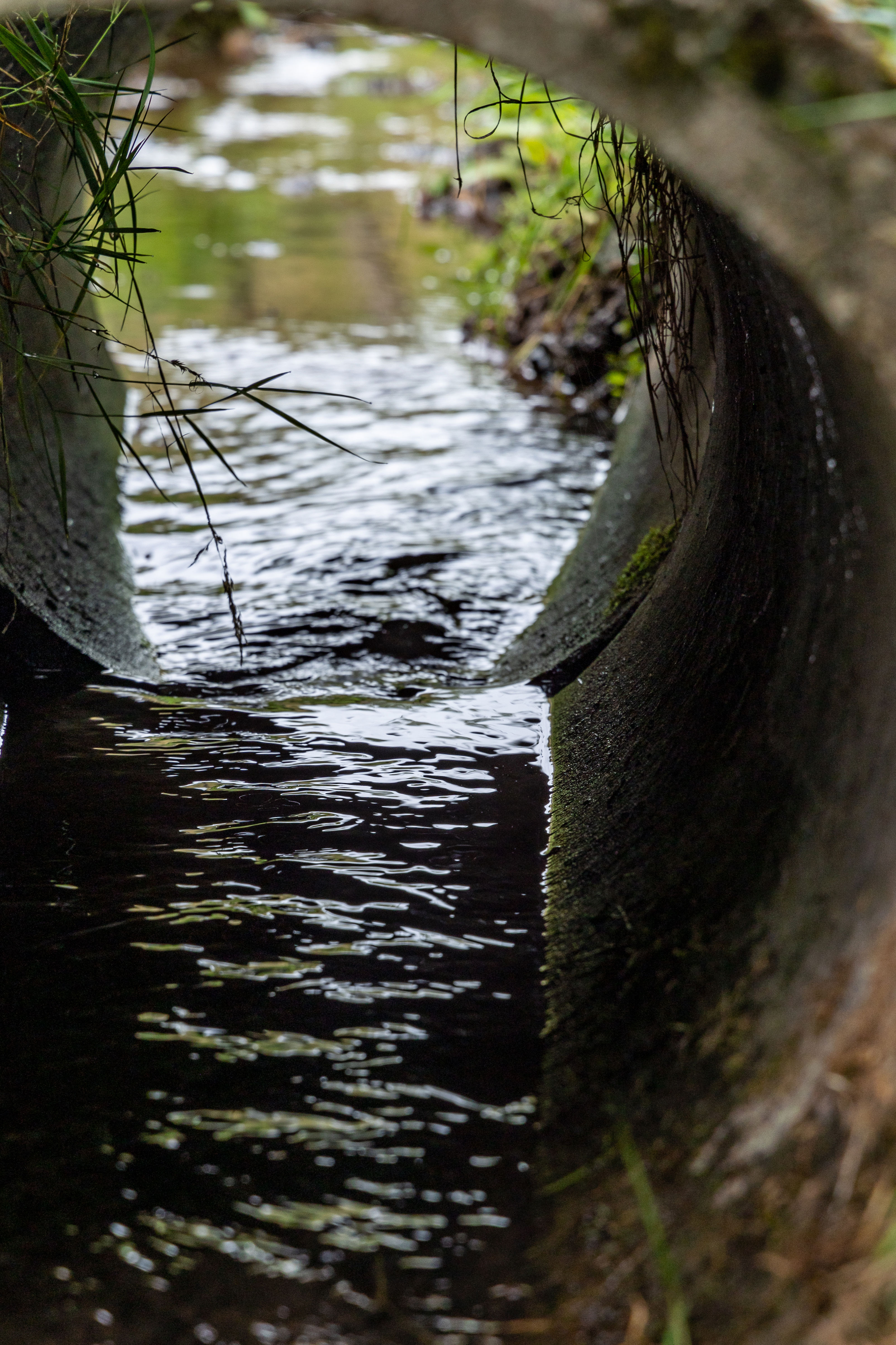 Spildevand i kloakrør