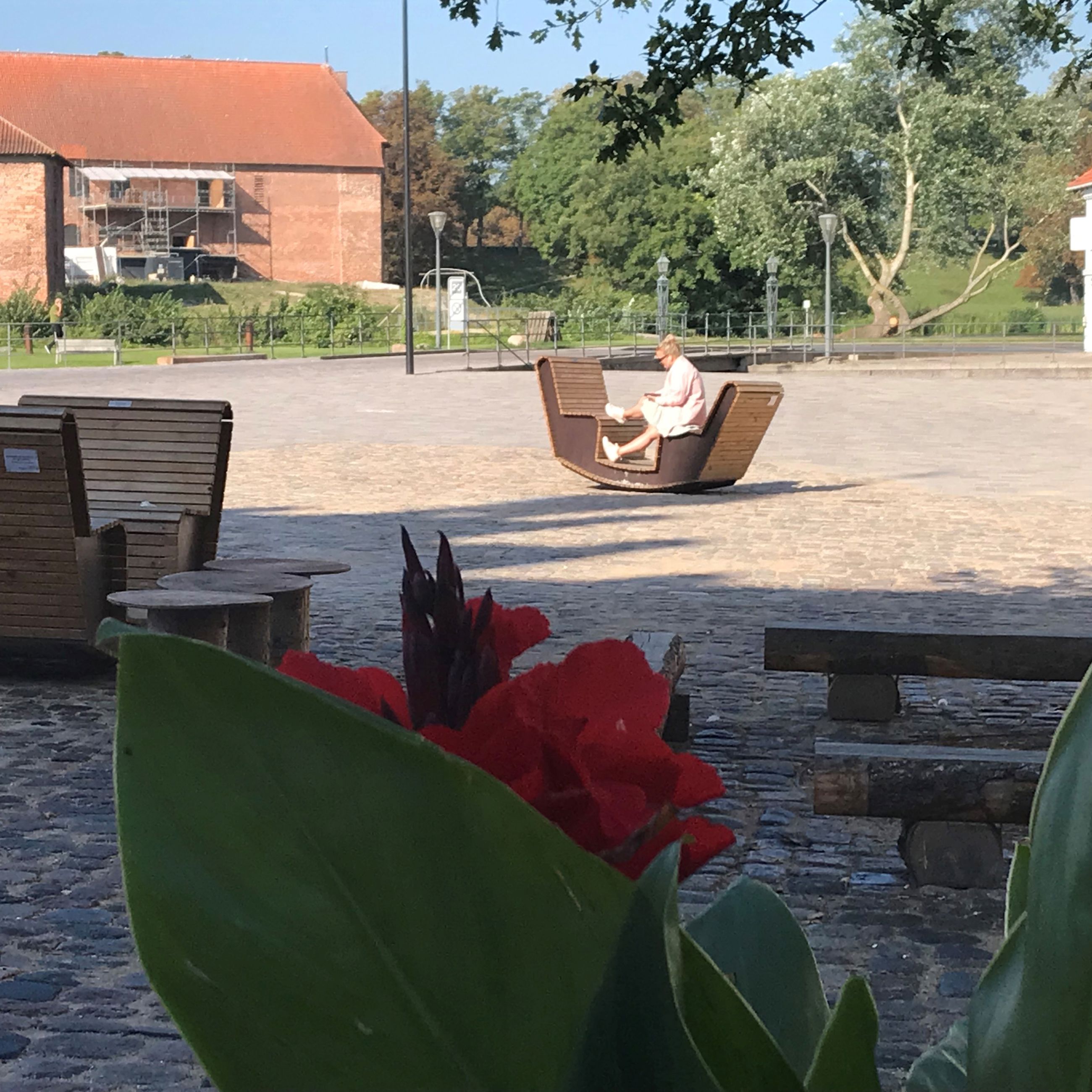 Sociale møbler "gynger" og blomster på Torvet