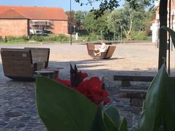 Sociale møbler "gynger" og blomster på Torvet