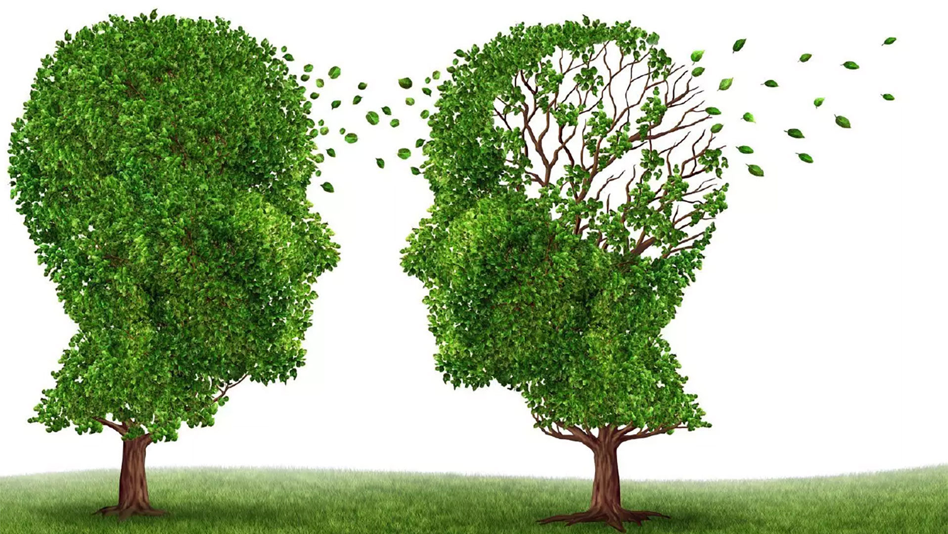 Træer beskåret som ansigter hvor blade falder af