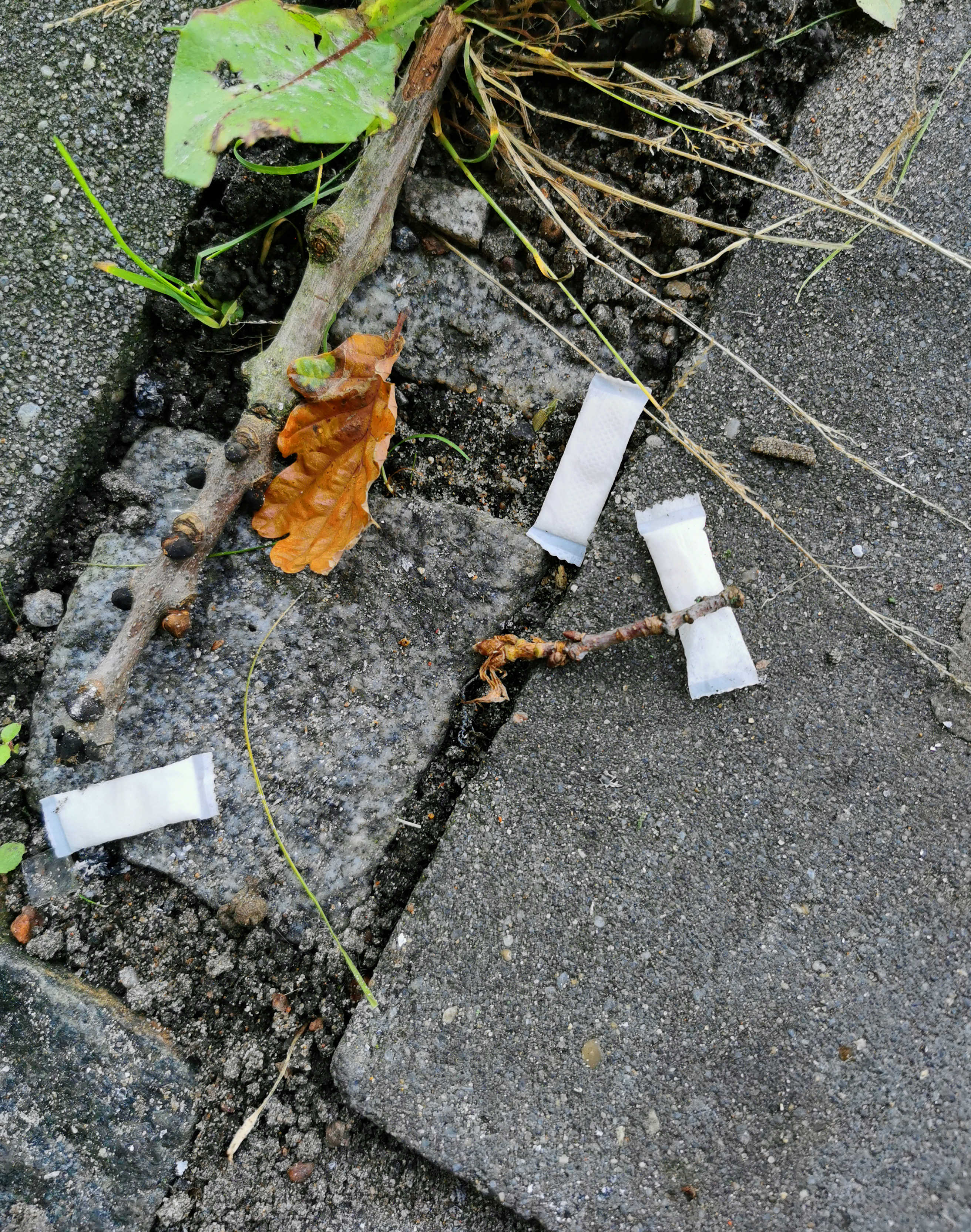 Snus på vejen i naturen