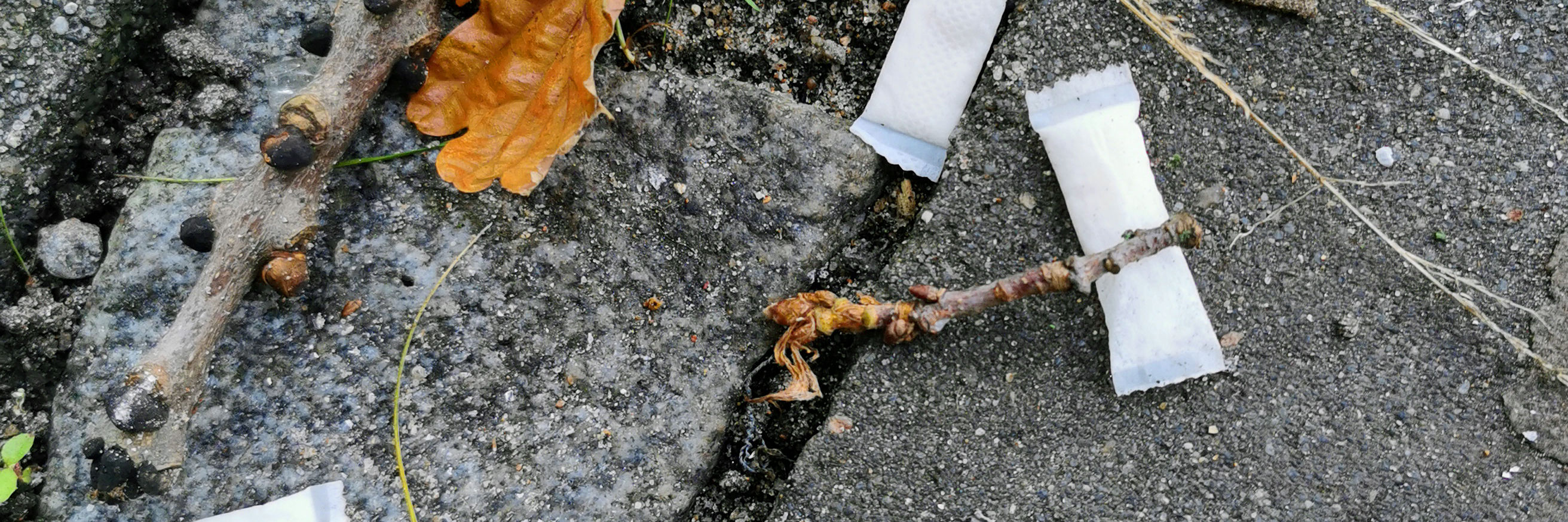 Snus på vejen i naturen