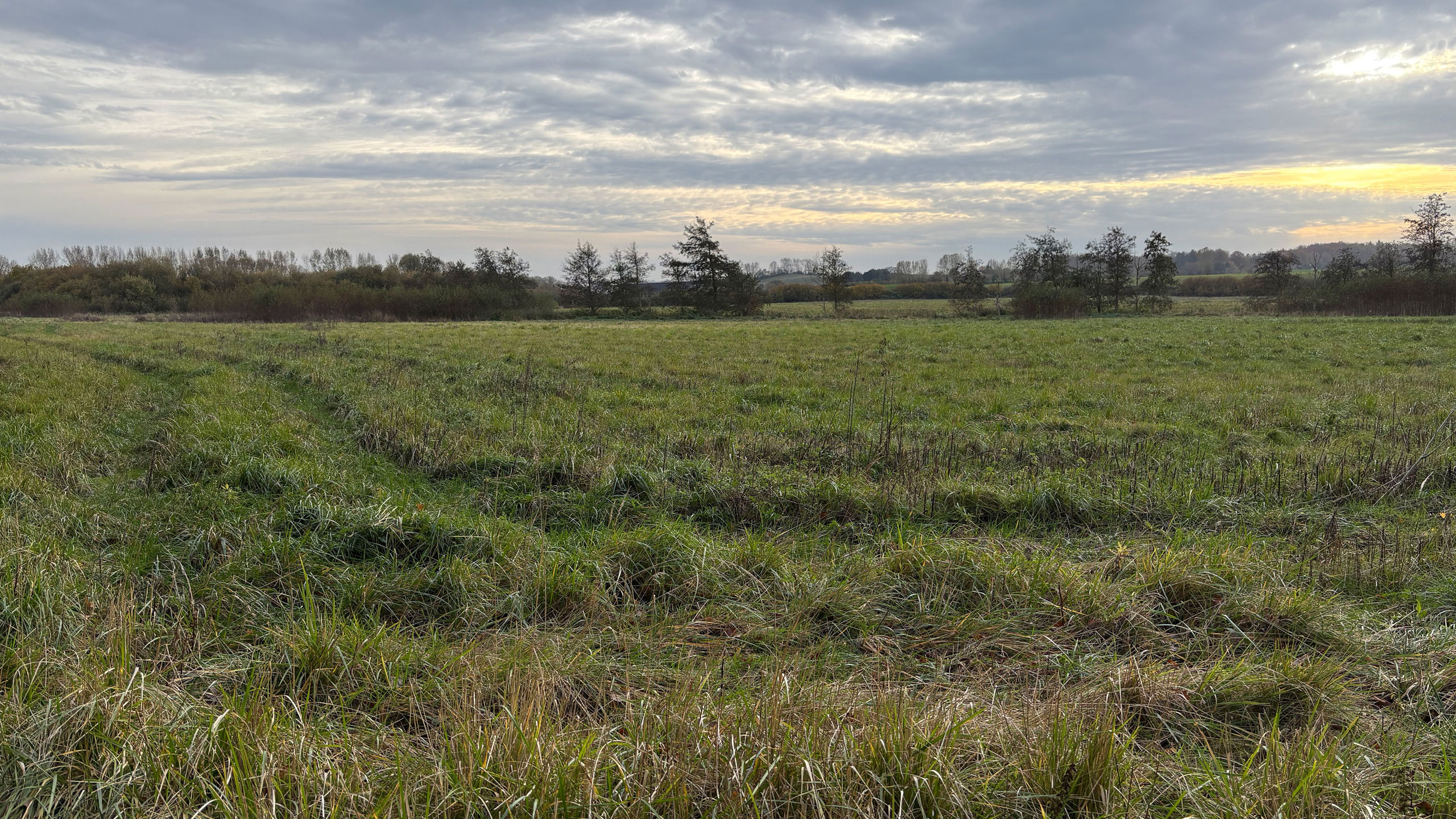 Mark ved Glorup Gods