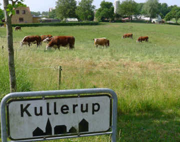 Kullerup byskilt med køer i baggrunden