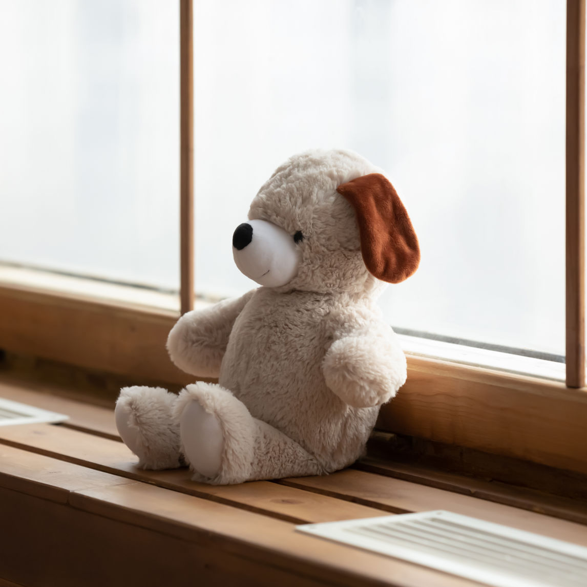 Bamse i vindueskarm