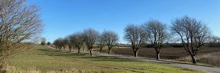 Natur i Svindinge