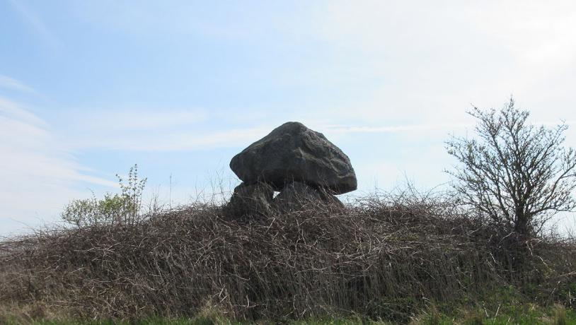 Gravhøj i Svindinge