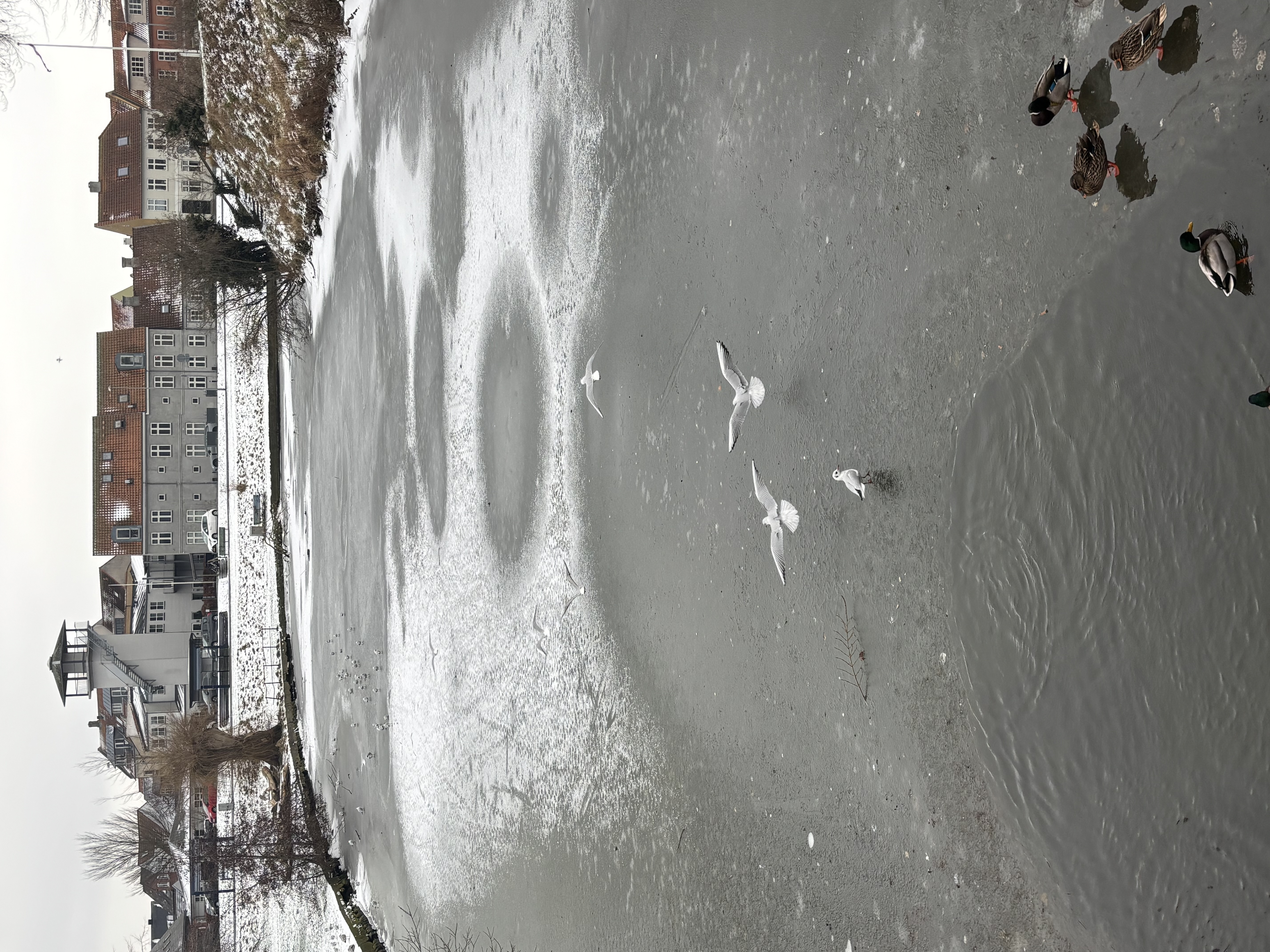 Is på voldgraven 2026