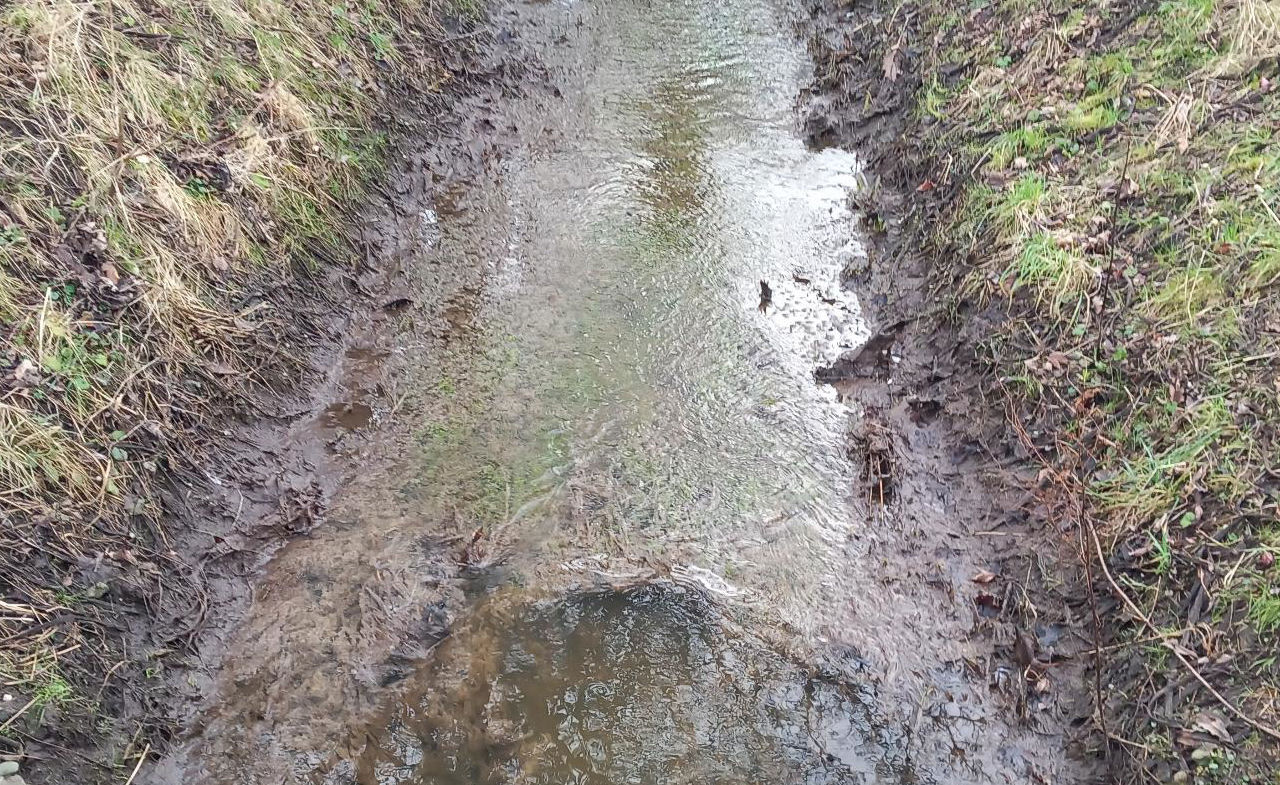 Forurening i Bredemoserenden