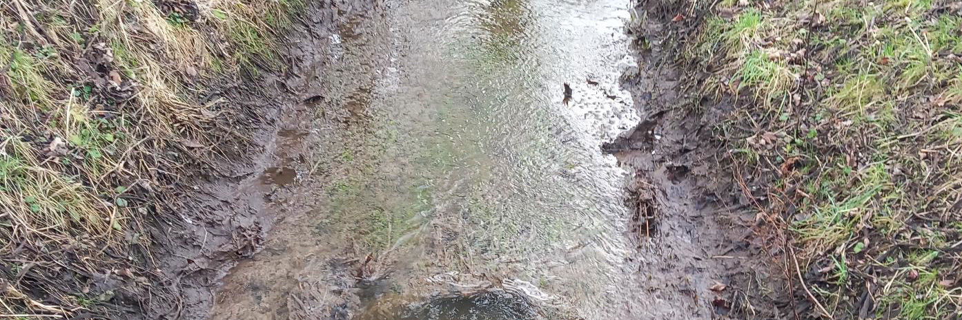 Forurening i Bredemoserenden