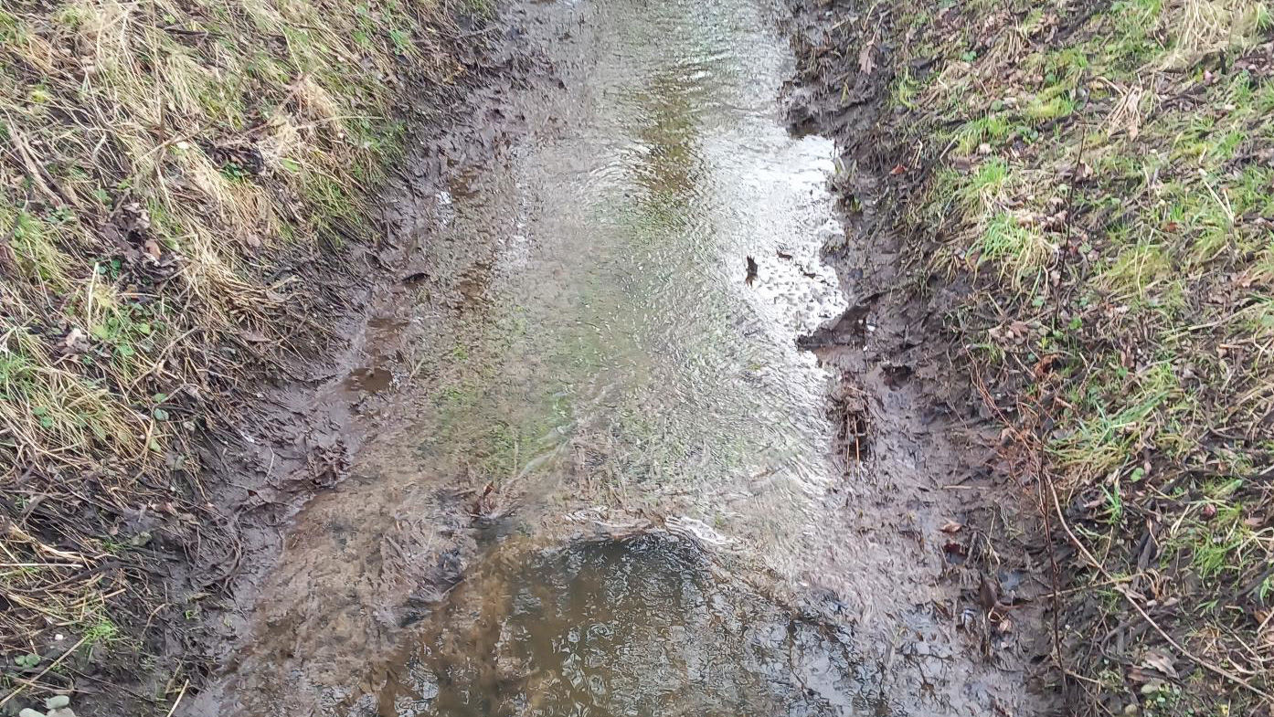 Forurening i Bredemoserenden