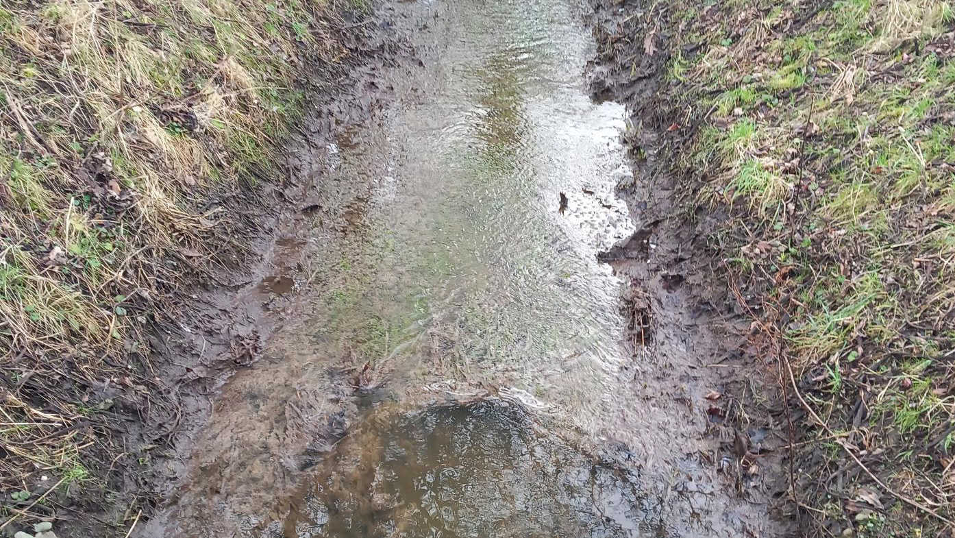 Forurening i Bredemoserenden