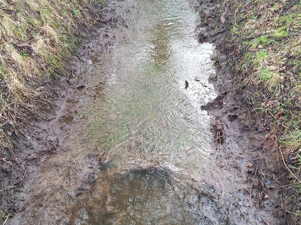 Forurening i Bredemoserenden