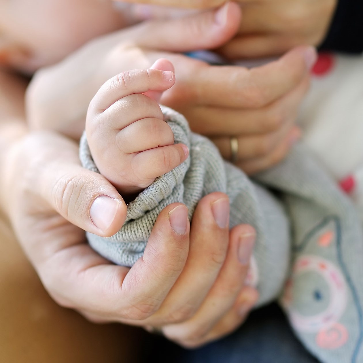 Voksenhænder der holder en babyhånd