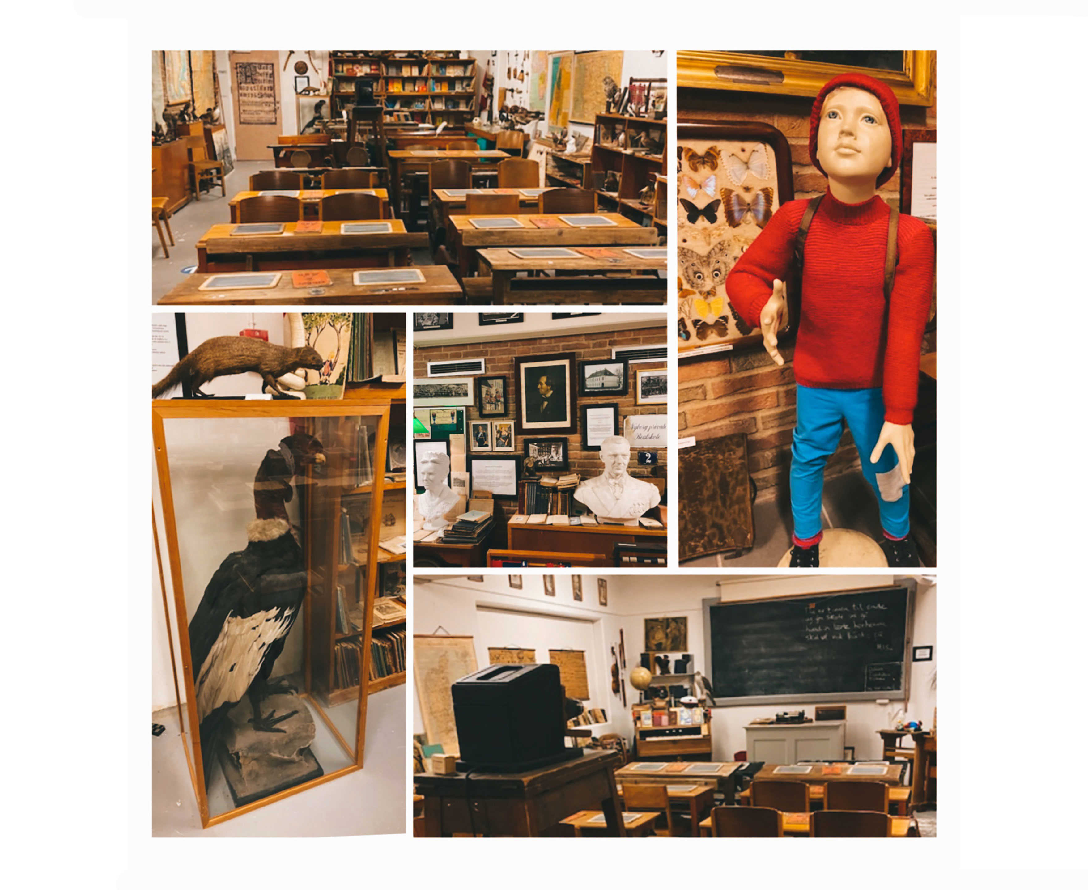 Planche med billeder fra Nyborg Skolemuseum