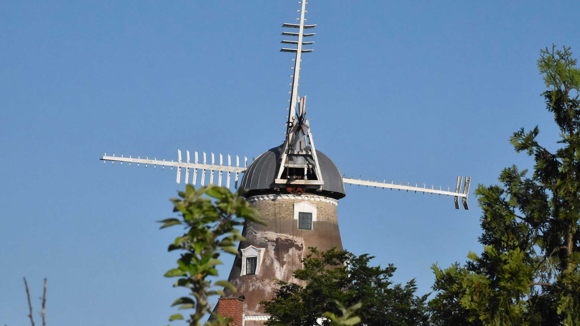 Dyrehavemøllen i Nyborg