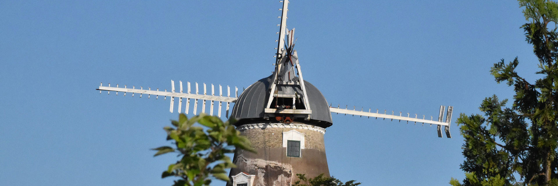 Dyrehavemøllen i Nyborg