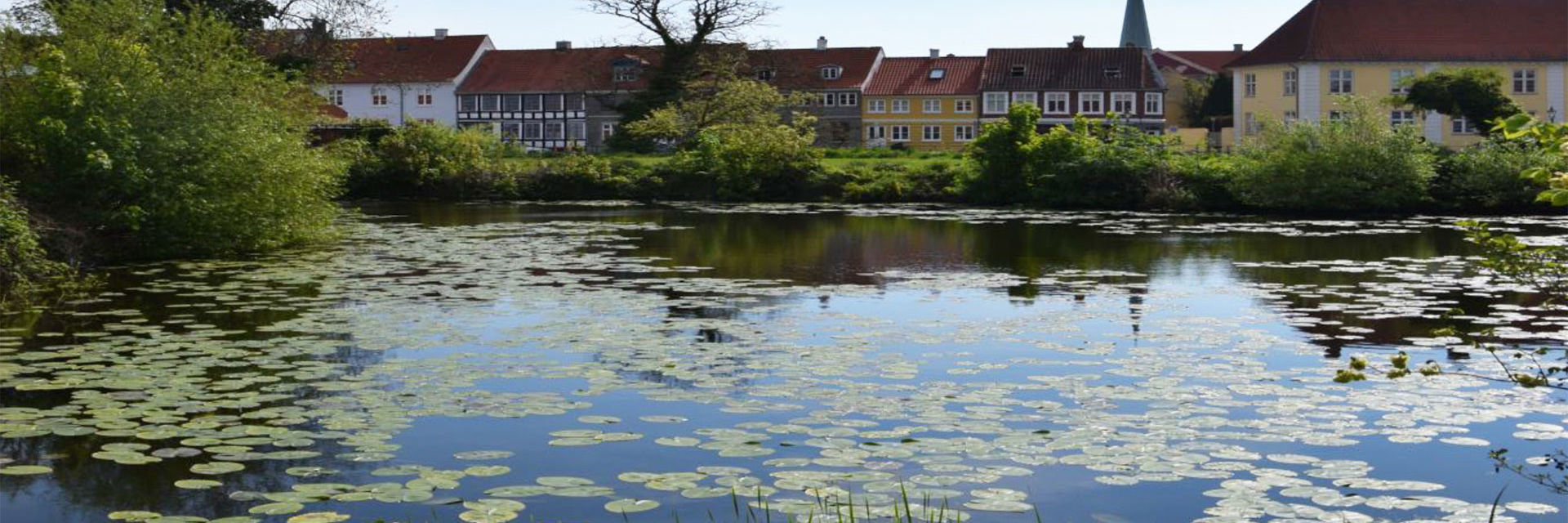 Voldgraven bag Nyborg Bibliotek ved Slotsgade