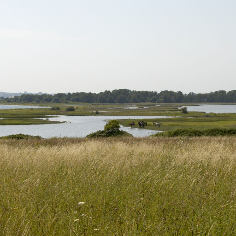 Østerø Sø