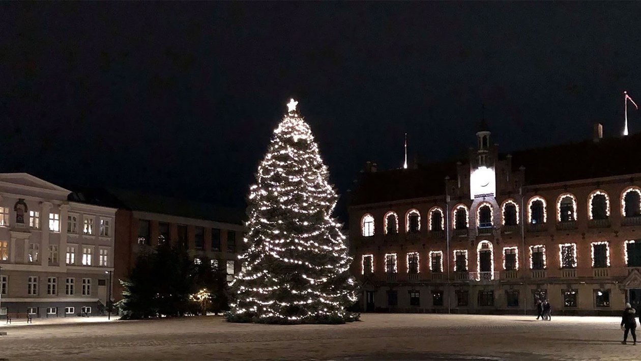 Det store juletræ med lys på Torvet