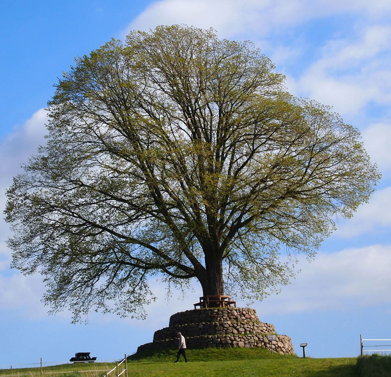 Foto: Nyborg Kommune