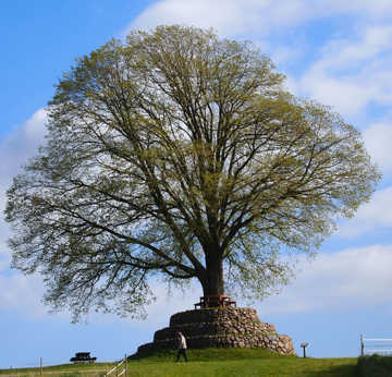 Foto: Nyborg Kommune