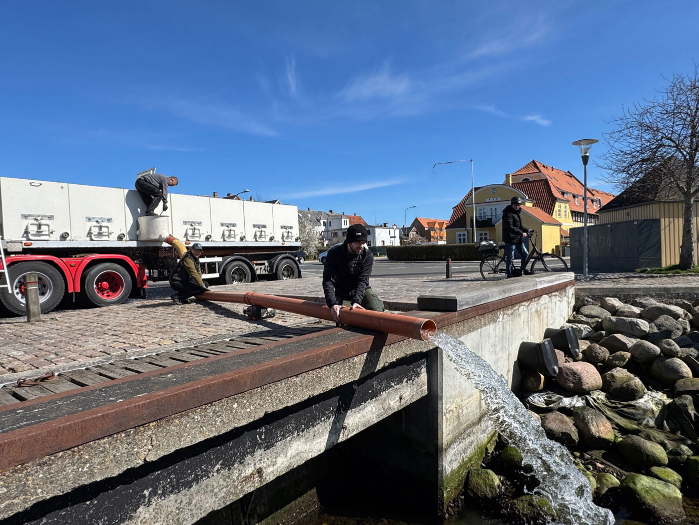 Der udsættes små havørreder i Nyborg Havn