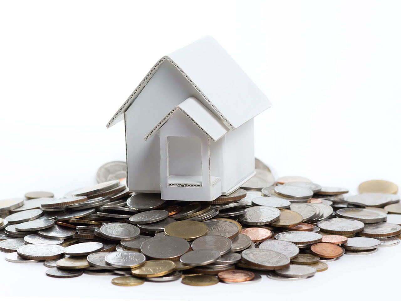 Paphus på en bunke penge