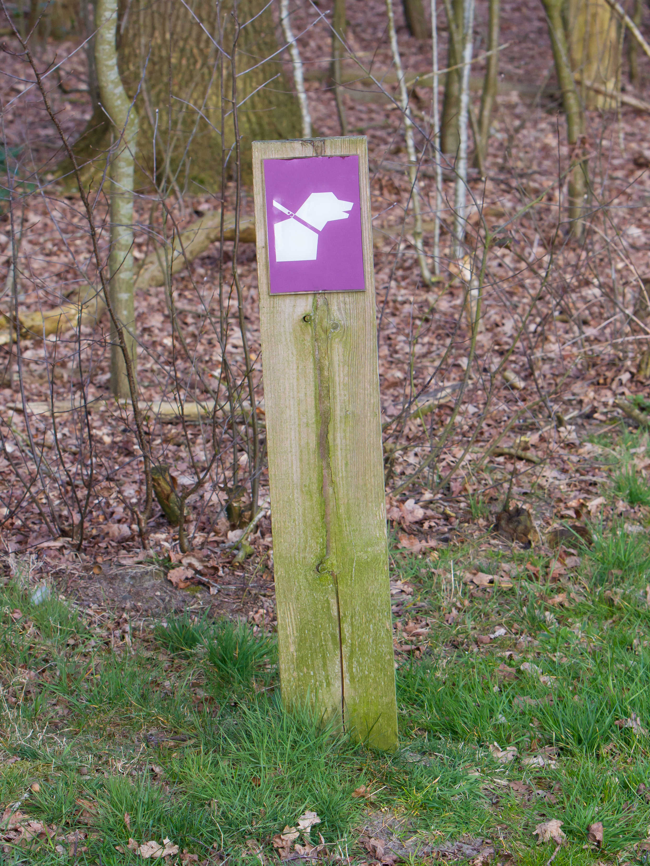 Skilt i skoven - sådan færdes du i naturen