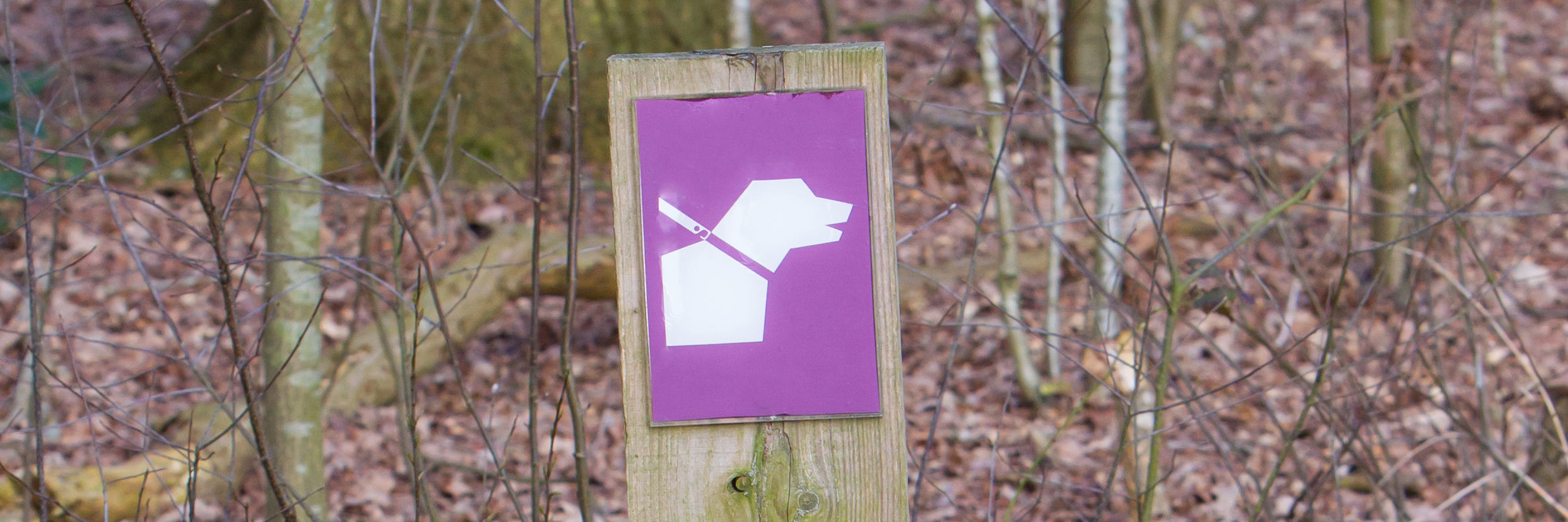 Skilt i skoven - sådan færdes du i naturen