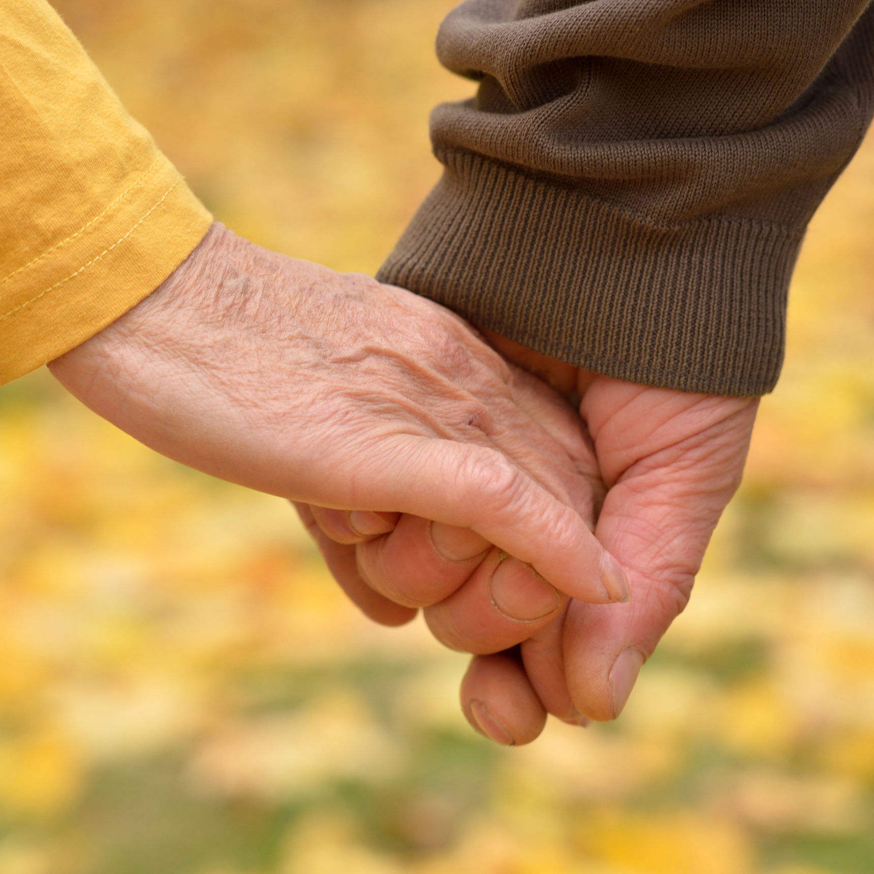 To der holder hænder i naturen