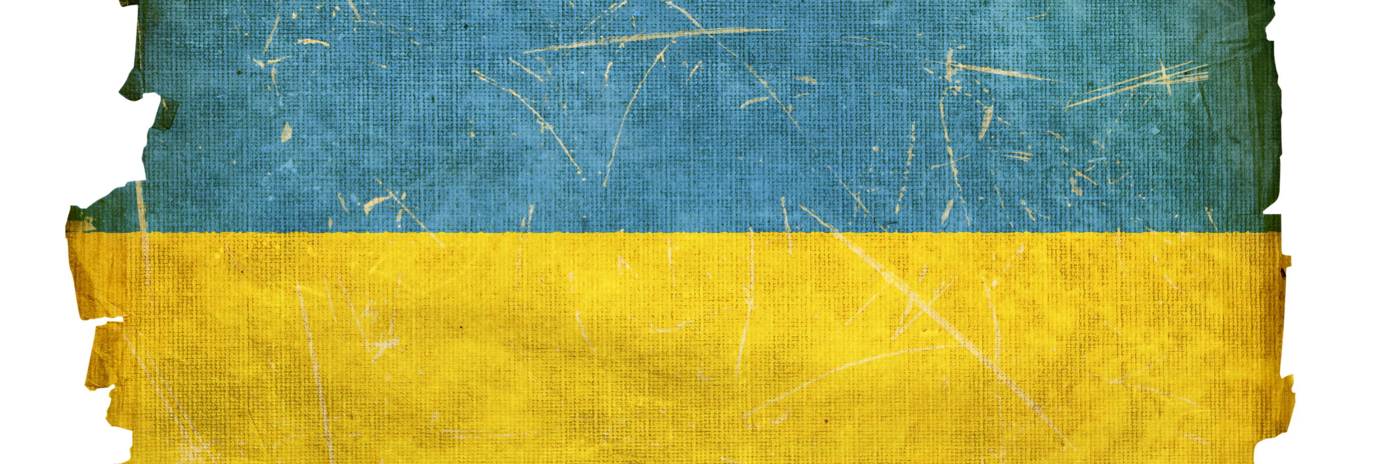 Det ukrainske flag