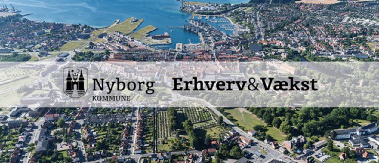 Luftfoto over Nyborg by