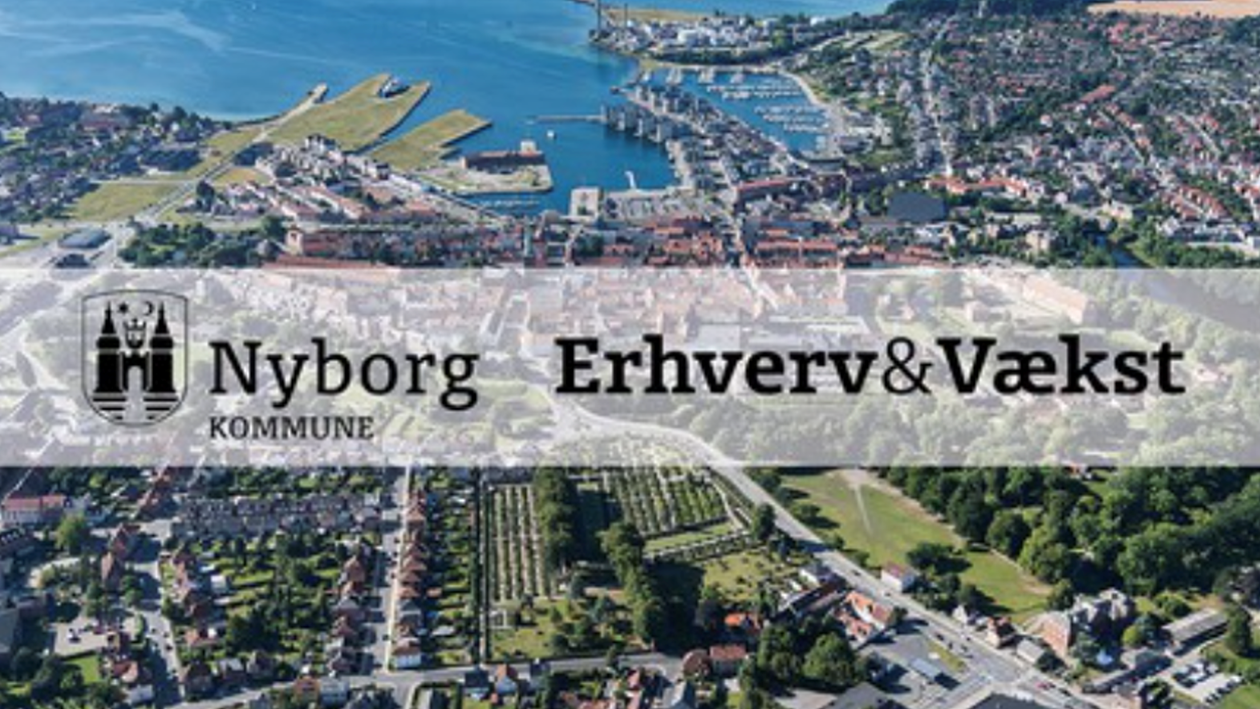 Luftfoto over Nyborg by