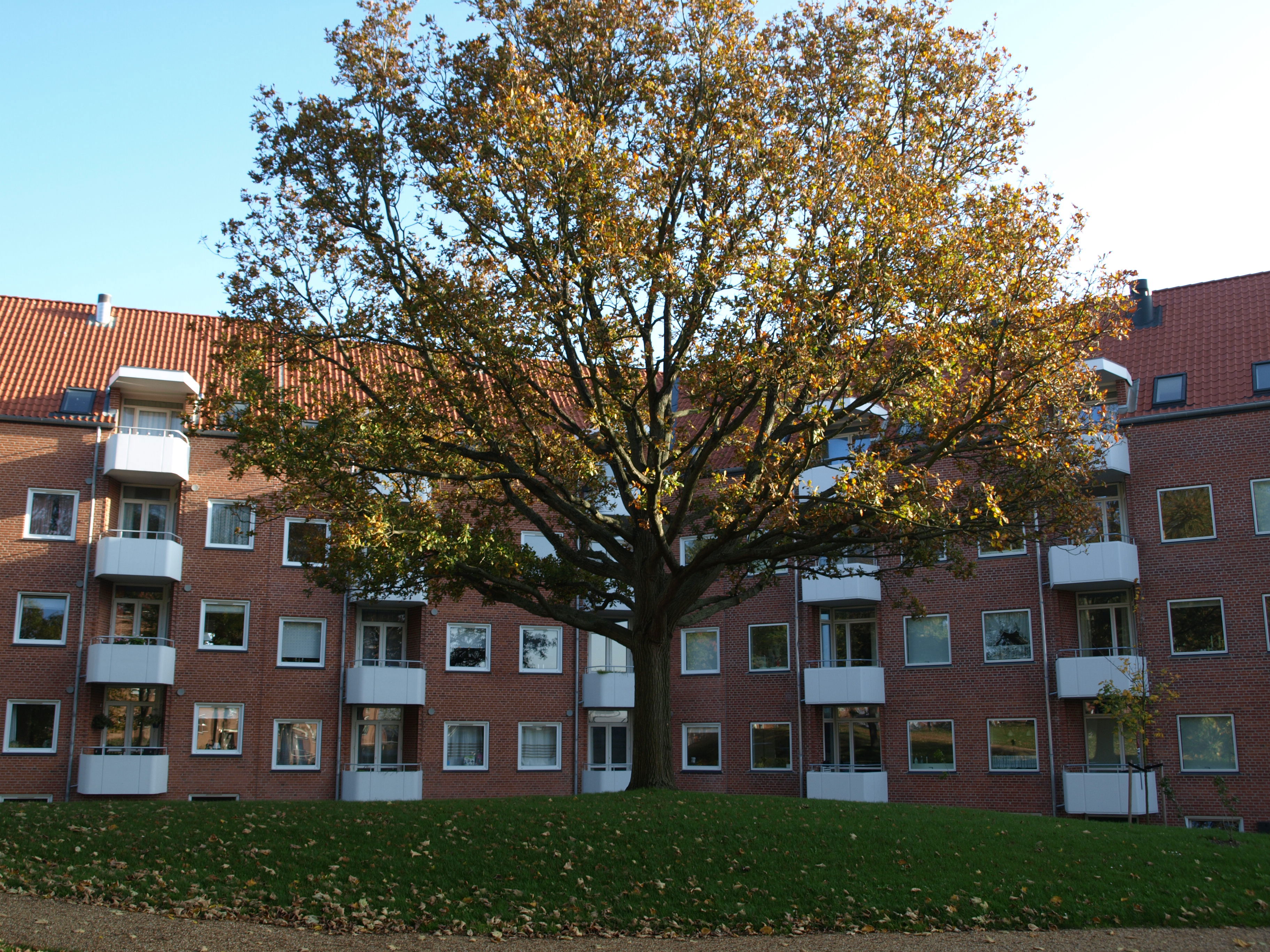 Lejligheder i Sprotoften