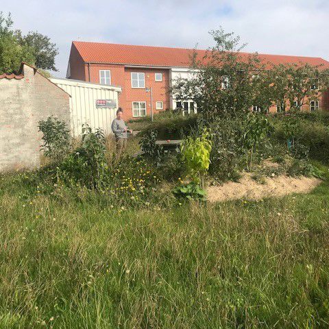 Tårnparkens udeareal