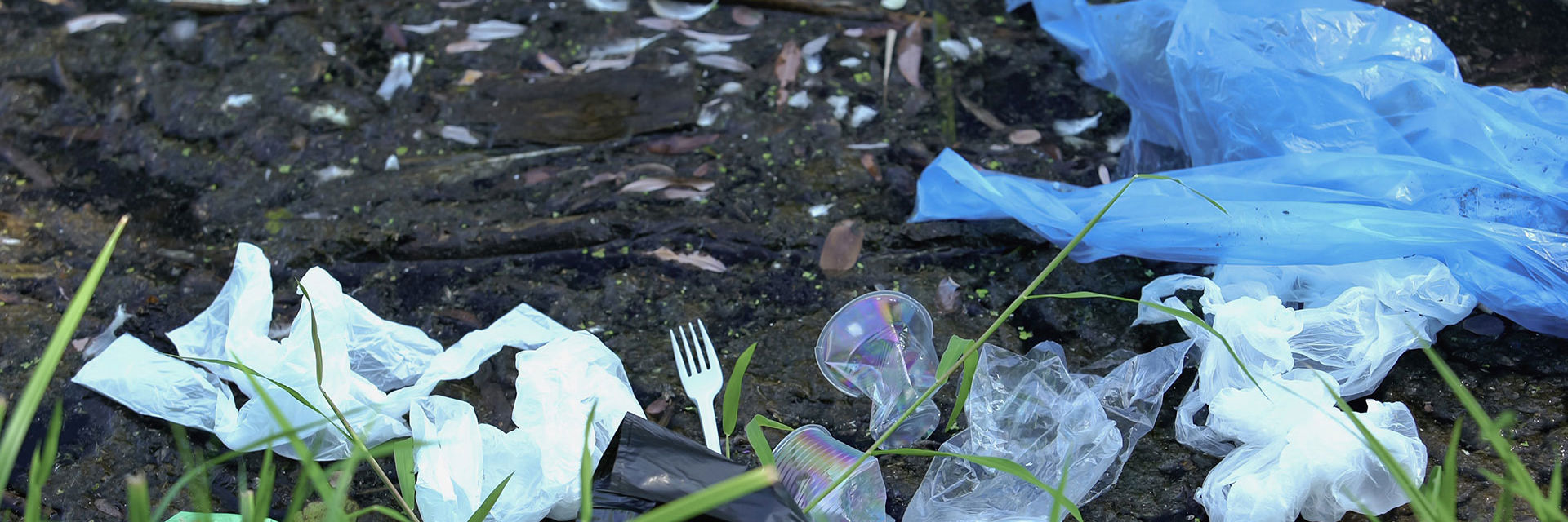 Affald smidt i naturen