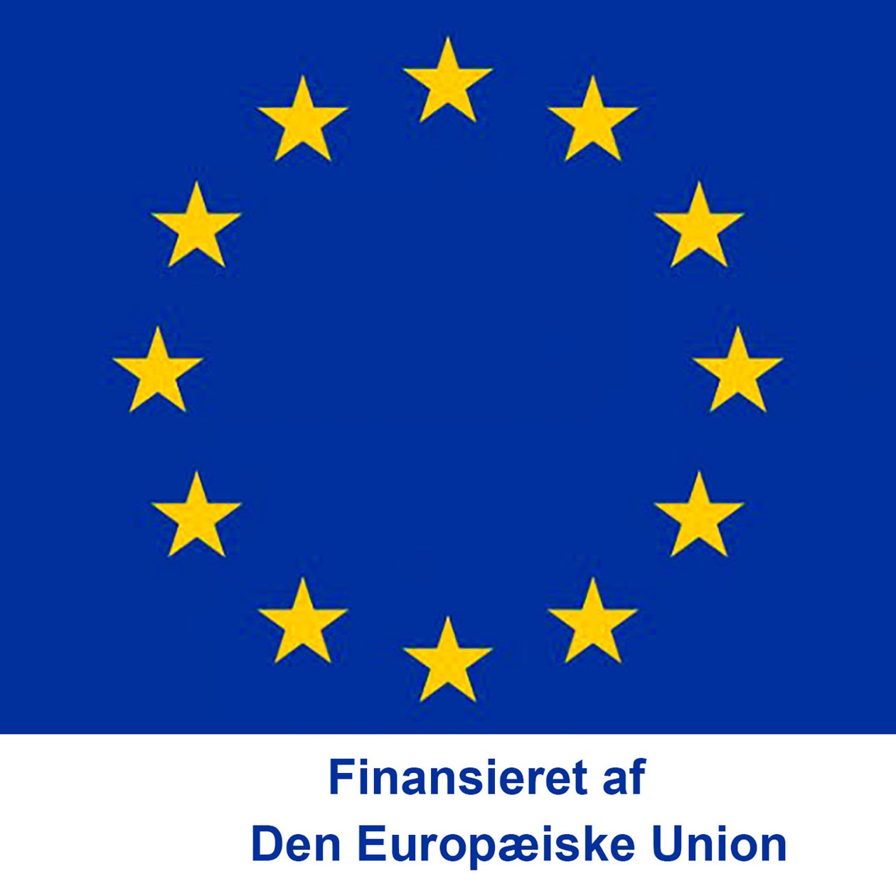EU's flag med teksten Finansieret af Den Europæiske Union