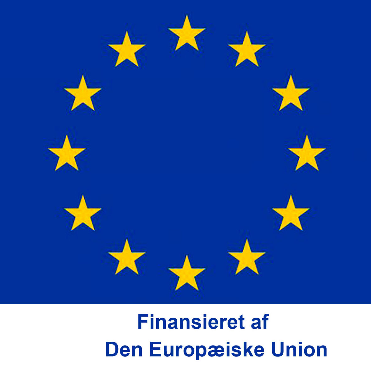 EU's flag med teksten Finansieret af Den Europæiske Union