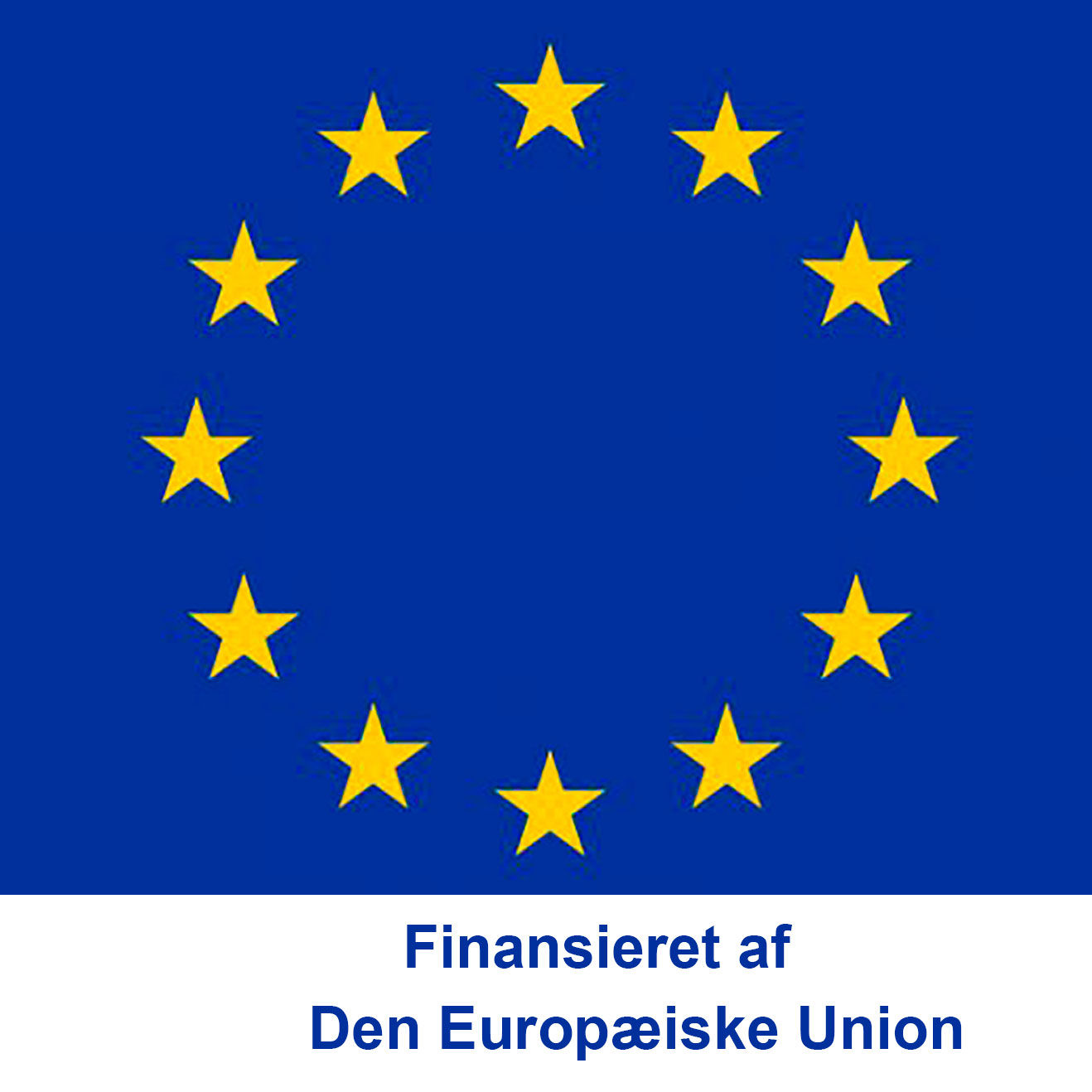 EU's flag med teksten Finansieret af Den Europæiske Union