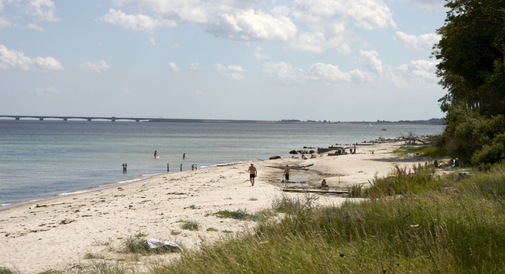 Stranden ved Teglværksskoven