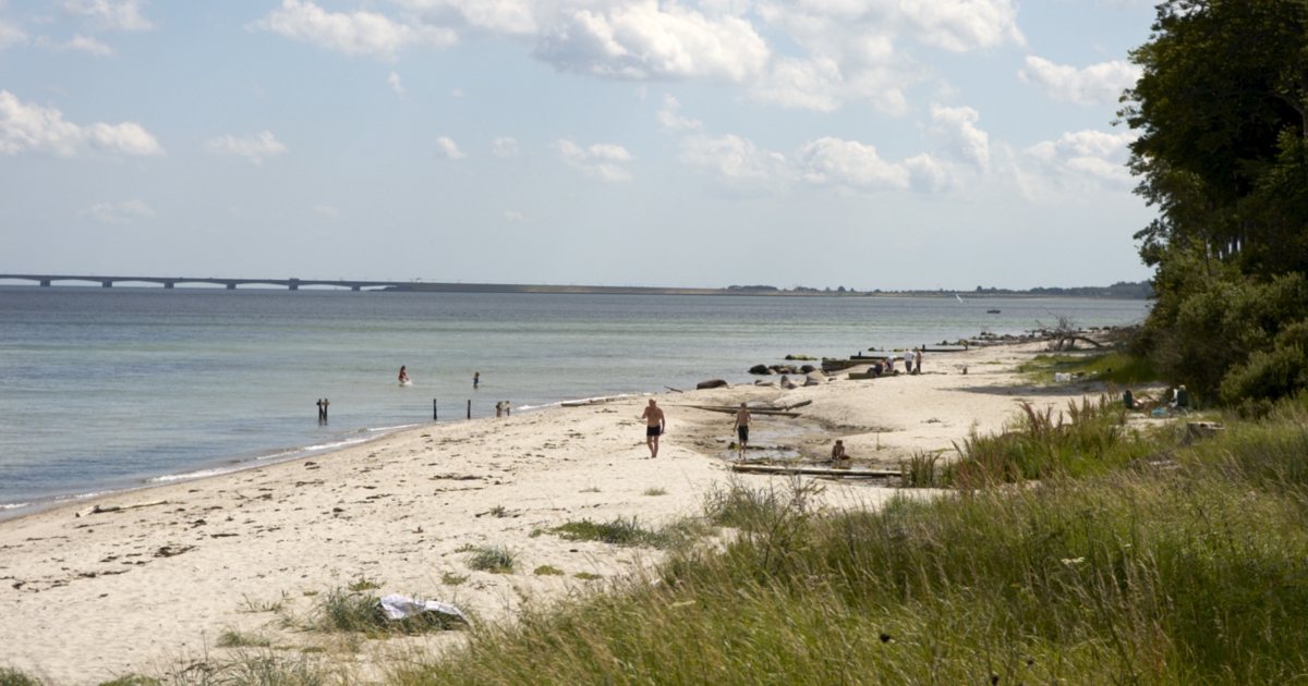 Kyst og strande - Nyborg.dk